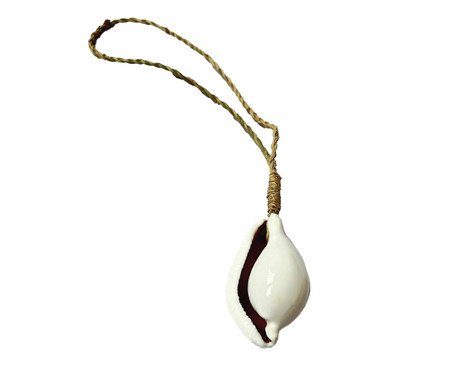 Adorno Decorativo Conchas Lasia | Westwing