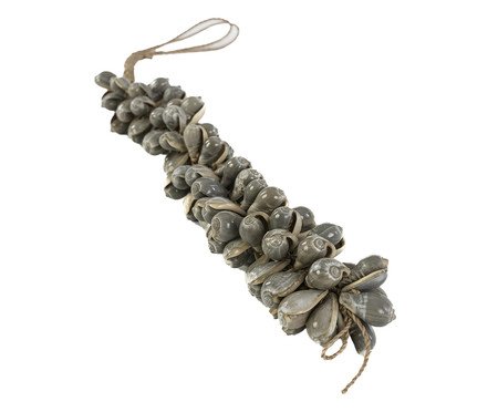 Adorno Decorativo Conchas Luzon | Westwing