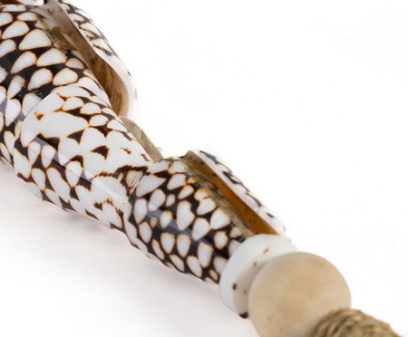 Adorno Decorativo Conchas Basey | Westwing