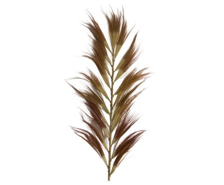 Capim dos Pampas Kawe - 2 m | Westwing