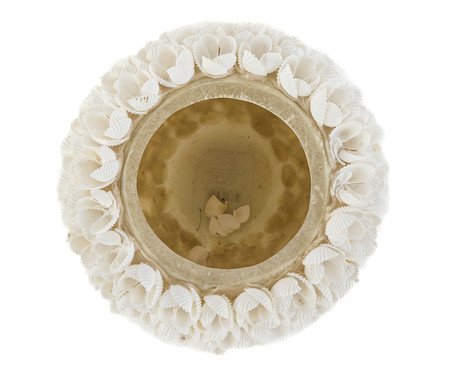 Porta-Vela Conchas Niah I | Westwing