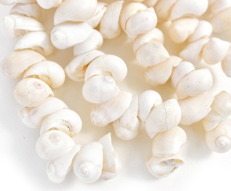 Colar Decorativo Medusa | Westwing