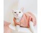 Roupa Pelúcia para Pet - Coral, Coral | WestwingNow
