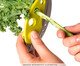 Tesoura com Removedor em Ervas Tomilho Chef'n, green | WestwingNow