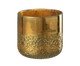 Vaso Mirror Igapira Dourado, gold | WestwingNow