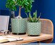 Cachepot Flower Verde, green | WestwingNow