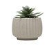 Cachepot com Suculenta Artificial Geometry Bege Cimento, beige | WestwingNow