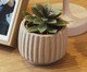 Cachepot com Suculenta Artificial Geometry Bege Cimento, beige | WestwingNow