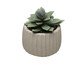 Cachepot com Suculenta Artificial Geometry Bege Cimento, beige | WestwingNow
