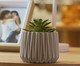 Cachepot com Sucelenta Artificial Prismatto Cinza Cimento, grey | WestwingNow
