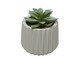 Cachepot com Sucelenta Artificial Prismatto Cinza Cimento, grey | WestwingNow