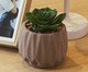 Cachepot com Suculenta Artificial Geometry Marrom Cimento, brown | WestwingNow