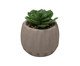 Cachepot com Suculenta Artificial Geometry Marrom Cimento, brown | WestwingNow
