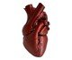 Vaso Heart Deep Red, red | WestwingNow