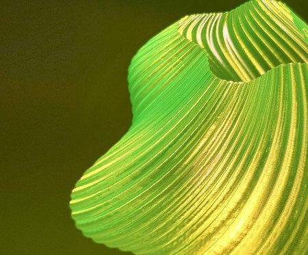 Luminária Ice Cream Lemona Pequena | Westwing