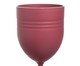 Taça para vinho Defensa em fibra de trigo e bordô, red | WestwingNow
