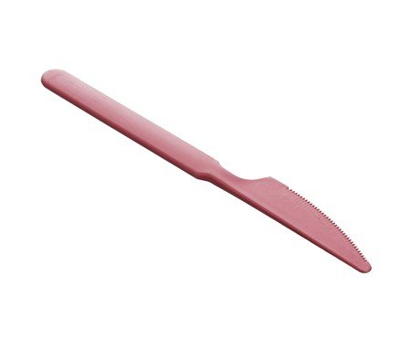 Jogo de talheres e estojo Defensa em fibra de trigo e bordô | Westwing