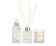 Jogo de Aromatizar e Difusor com Vela Floral Cítrico Garden, multicolor | WestwingNow