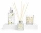 Jogo de Aromatizar e Difusor com Vela Floral Cítrico Garden, multicolor | WestwingNow