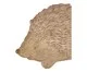 Escultura Porco-Espinho Wari, brown | WestwingNow