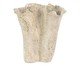 Vaso Pilco, beige | WestwingNow