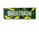 Azulejo Decorativo Brasileiragem Verde Mimo Galeria, multicolor | WestwingNow