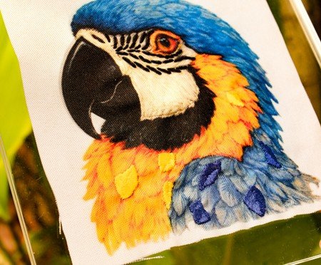 Quadro Acrílico Arara Azul Mimo Galeria | Westwing
