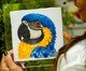 Quadro Acrílico Arara Azul Mimo Galeria, multicolor | WestwingNow