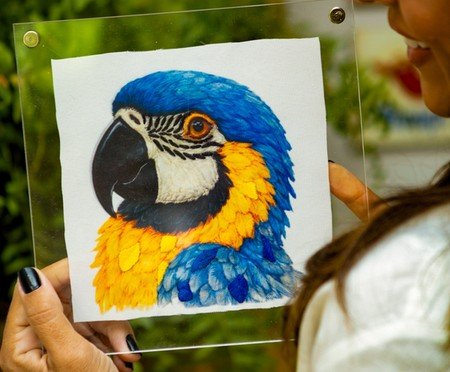 Quadro Acrílico Arara Azul Mimo Galeria | Westwing