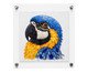 Quadro Acrílico Arara Azul Mimo Galeria, multicolor | WestwingNow