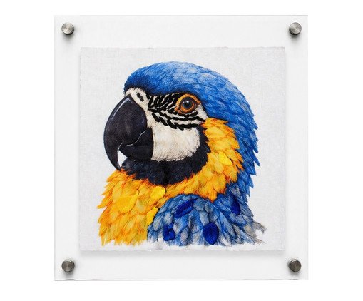 Quadro Acrílico Arara Azul Mimo Galeria, multicolor | WestwingNow