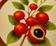 Azulejo Decorativo Redondo Guaraná Mimo Galeria, multicolor | WestwingNow