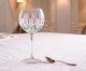 Jogo de Taças para Gin Blow Lavan Transparente, transparent | WestwingNow