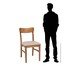 Jogo de Cadeiras Olmo Sergipe Mel, wood pattern | WestwingNow