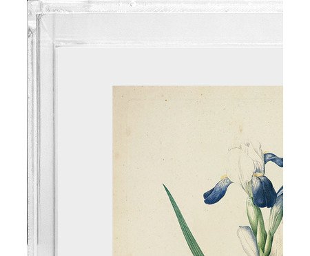 Quadro Artimage Artsy Lírio | Westwing