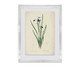 Quadro Artimage Artsy Lírio, multicolor | WestwingNow