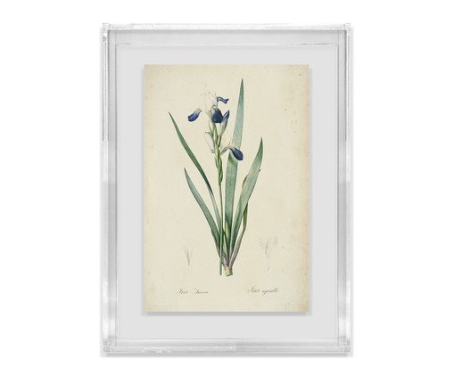Quadro Artimage Artsy Lírio, multicolor | WestwingNow