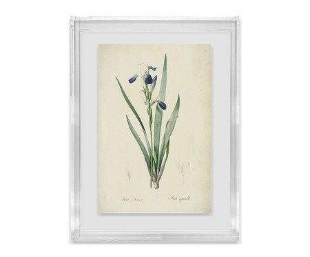 Quadro Artimage Artsy Lírio | Westwing