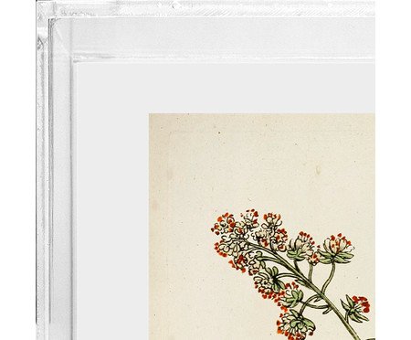 Quadro Artimage Artsy Flora | Westwing