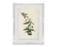 Quadro Artimage Artsy Flora, multicolor | WestwingNow