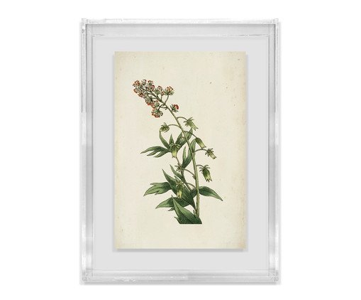 Quadro Artimage Artsy Flora, multicolor | WestwingNow