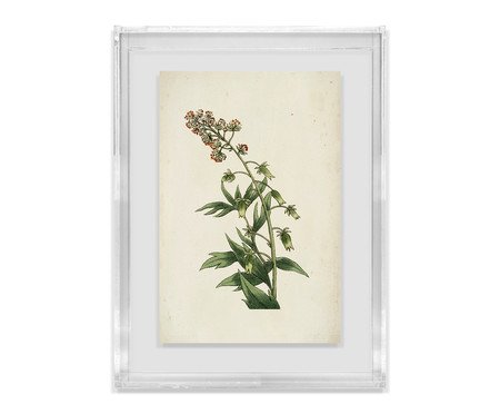 Quadro Artimage Artsy Flora | Westwing