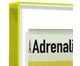 Quadro Marcio Pontes Adrenalina, multicolor | WestwingNow