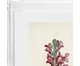 Quadro Artimage Artsy Sereno, multicolor | WestwingNow
