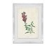 Quadro Artimage Artsy Sereno, multicolor | WestwingNow