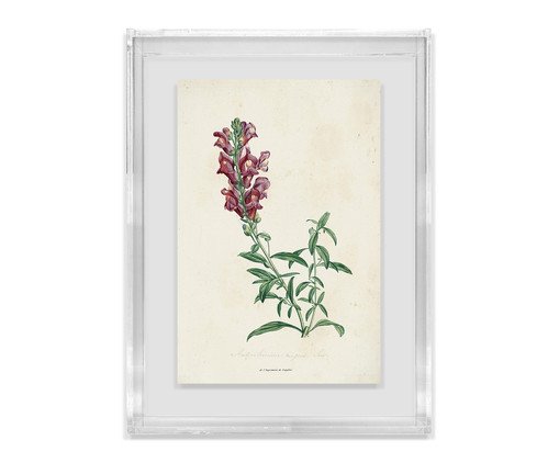 Quadro Artimage Artsy Sereno, multicolor | WestwingNow