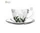 Jogo de Xícaras para Café em Cristal Ecológico Tulipa Verde, transparent | WestwingNow