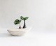 Mesa de Centro Orgânica Linea, white | WestwingNow