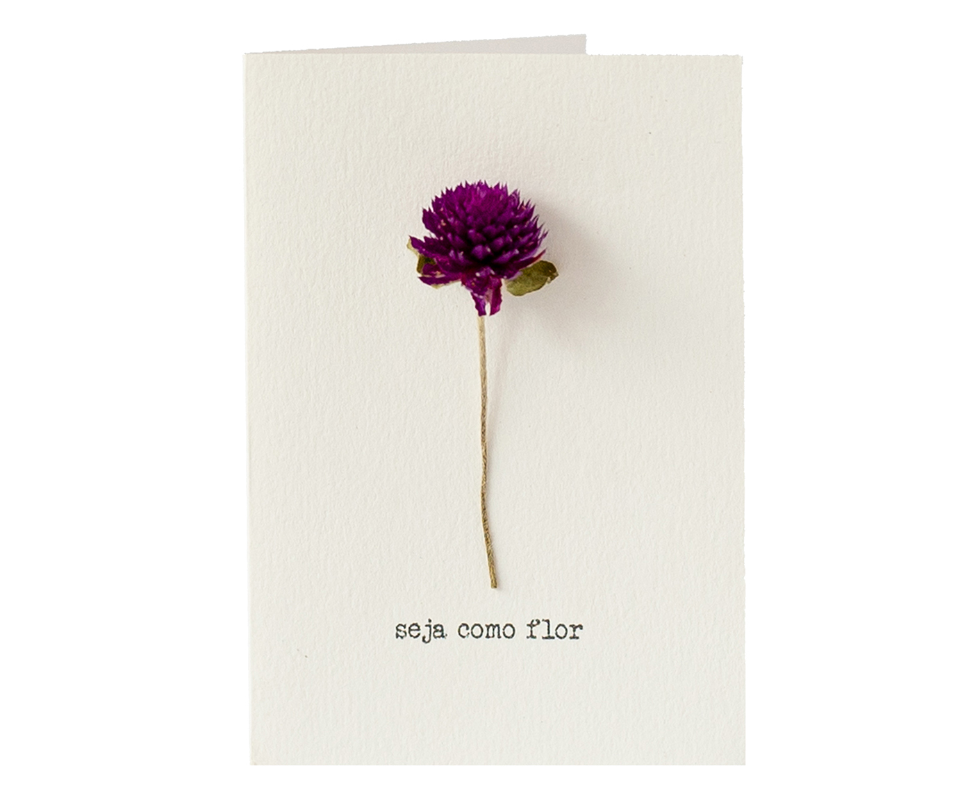 Cartão Seja Como Flor Perpétua - Roxa | WestwingNow