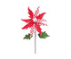 Flor Poinseta Jady, Vermelho,Branco | WestwingNow